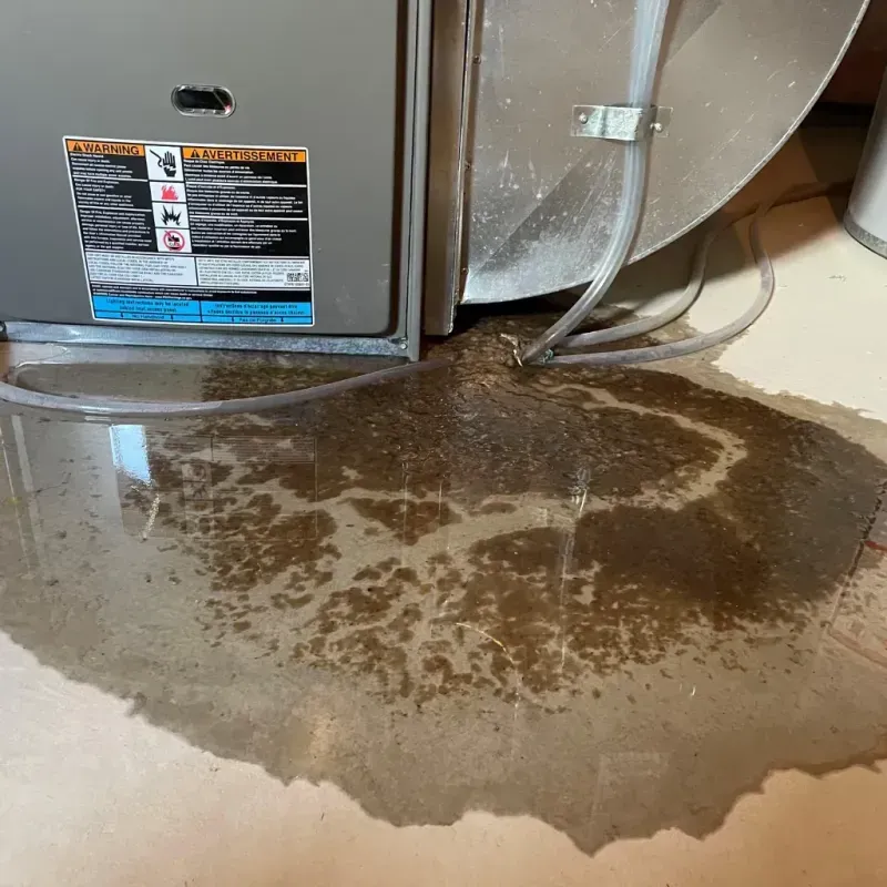 Appliance Leak Cleanup in Muscatine County, IA